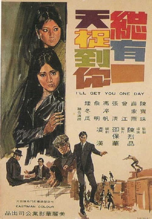 Постер: 總有一天捉到你
