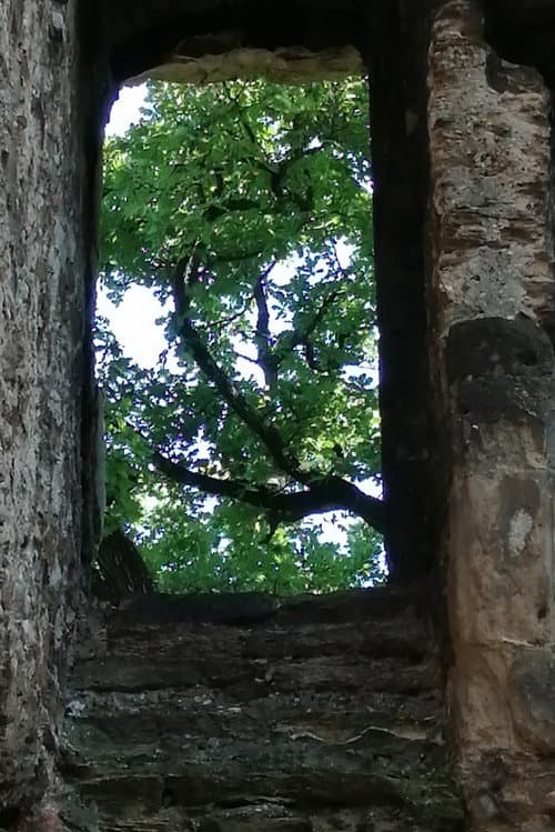 Постер: Les ruines du château de Seyssuel