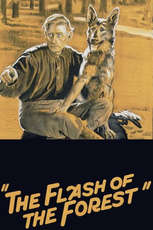 Постер: The Flash of the Forest