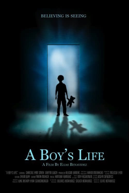 Постер: A Boy's Life