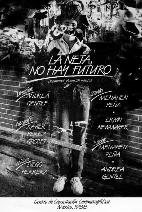 Постер: La Neta, No Hay Futuro