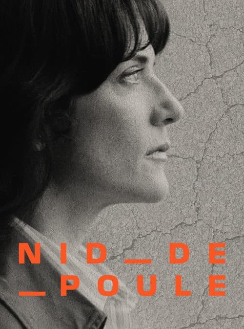 Постер: Nid-de-poule - Nos routes, un danger public?