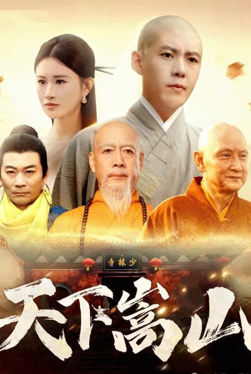 Постер: 天下嵩山