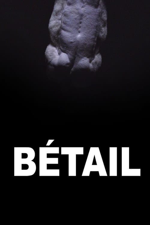 Постер: Bétail