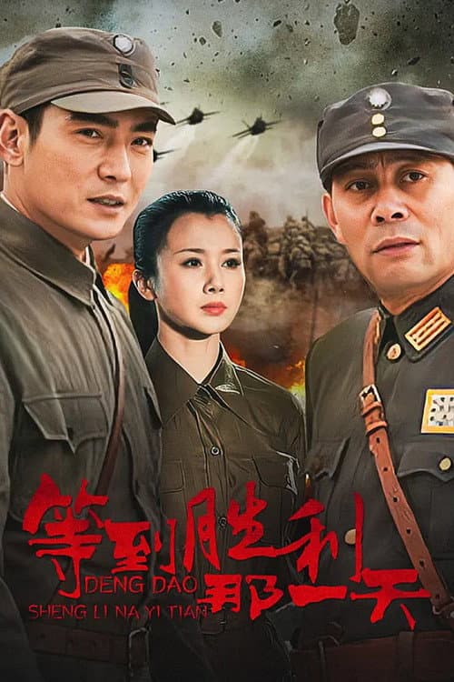 Постер: 等到胜利那一天