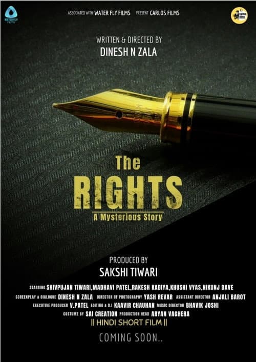 Постер: The Rights