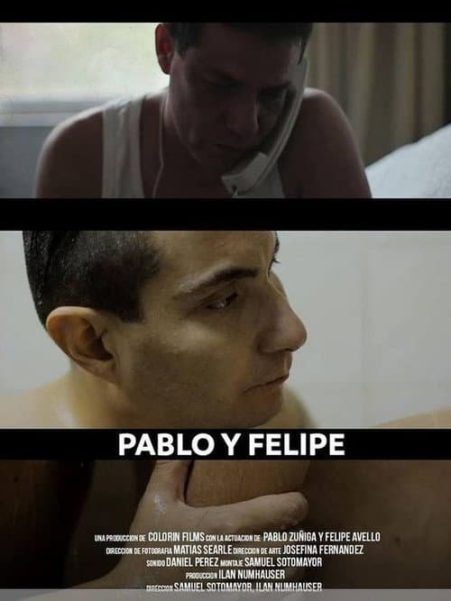 Постер: Pablo y Felipe