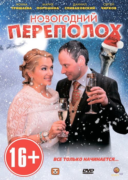 Постер: Новогодний переполох