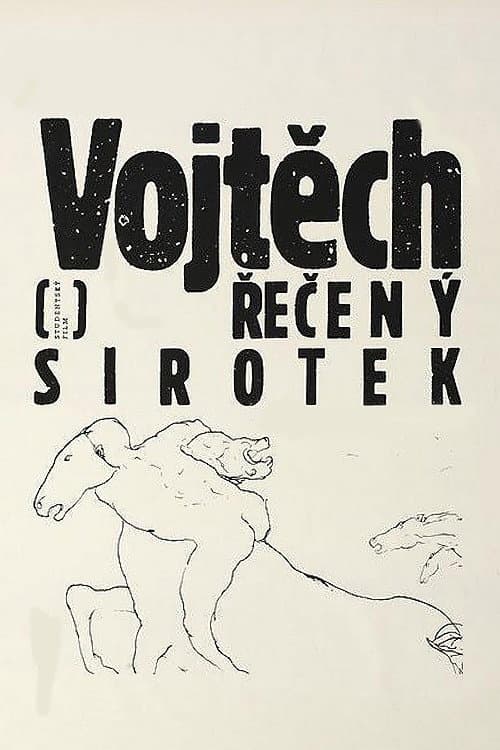 Постер: Vojtěch, řečený sirotek