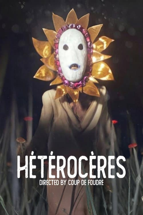 Постер: HÉTÉROCÈRES