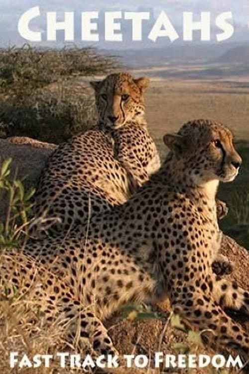 Постер: Cheetahs: Fast Track to Freedom