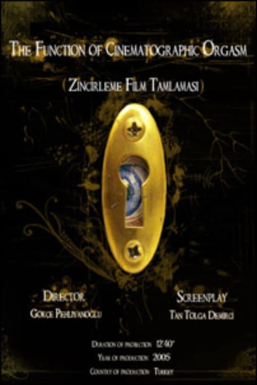 Постер: Zincirleme Film Tamlaması