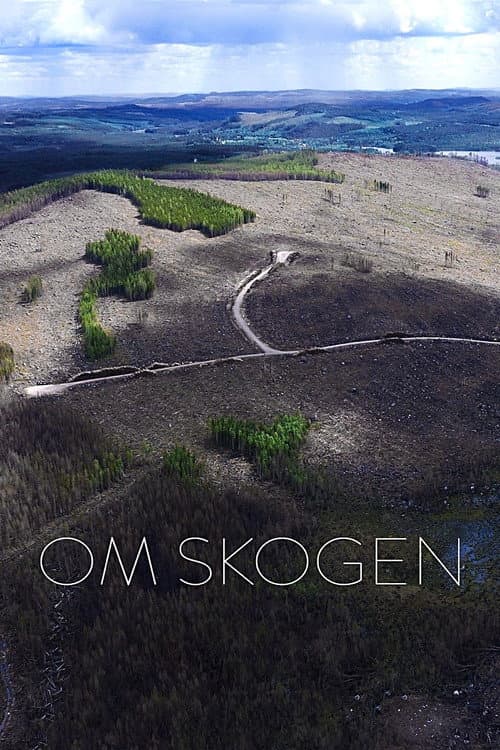 Постер: Om skogen