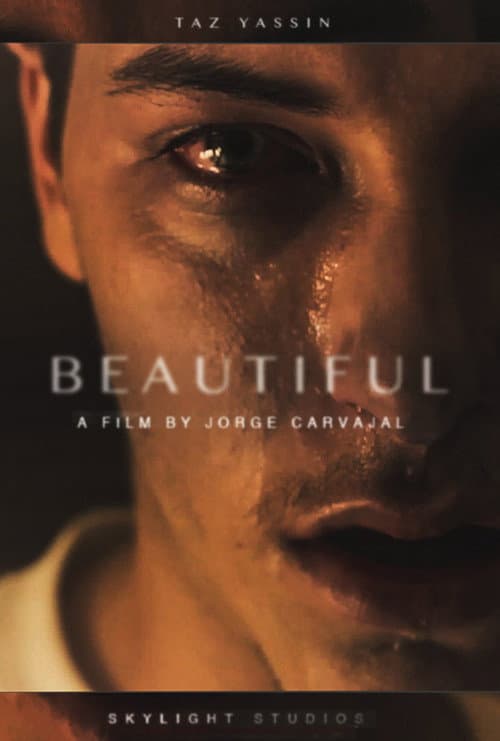 Постер: Beautiful