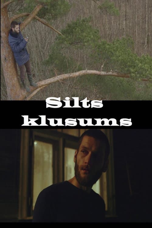 Постер: Silts klusums