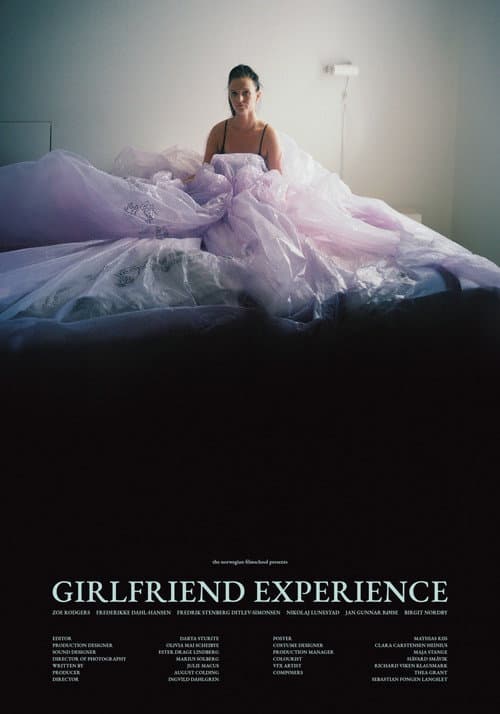 Постер: Girlfriend Experience
