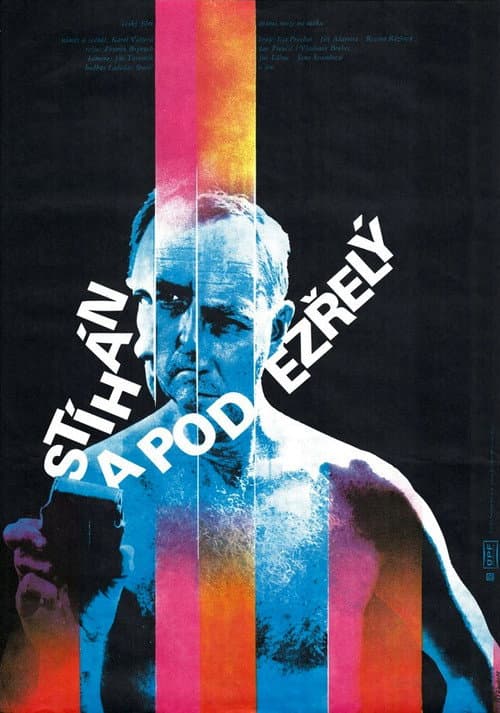 Постер: Stíhán a podezřelý
