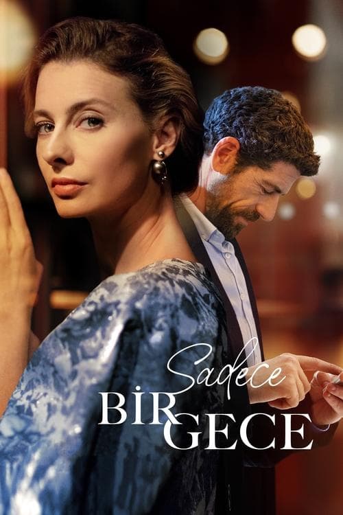 Постер: Sadece Bir Gece