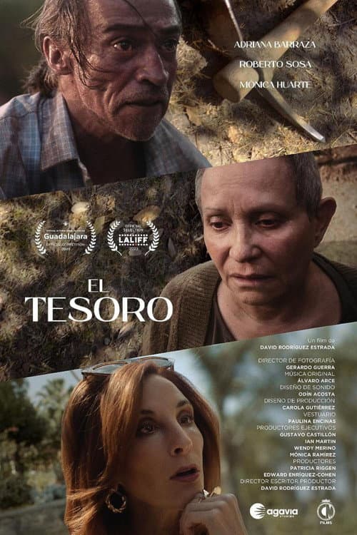 Постер: El Tesoro