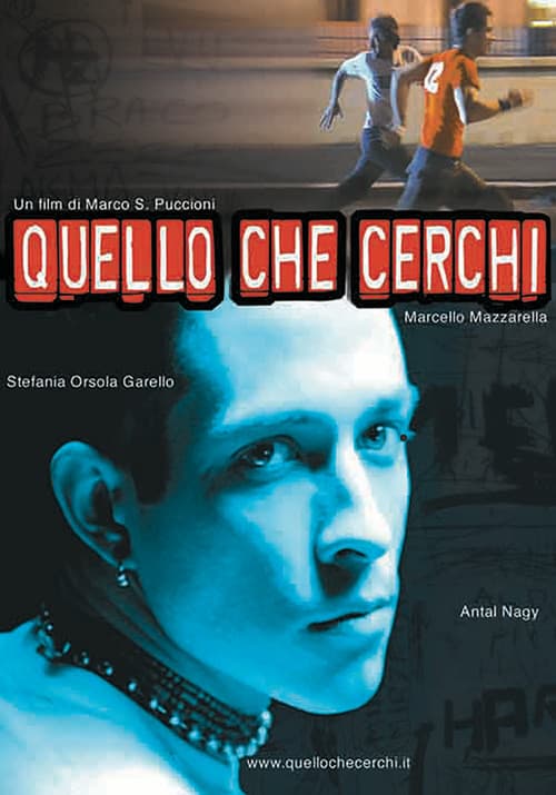 Постер: Quello che cerchi