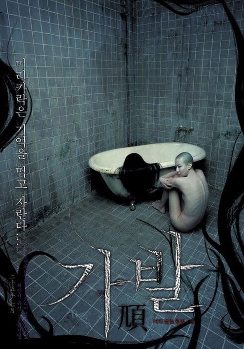 Постер: 가발