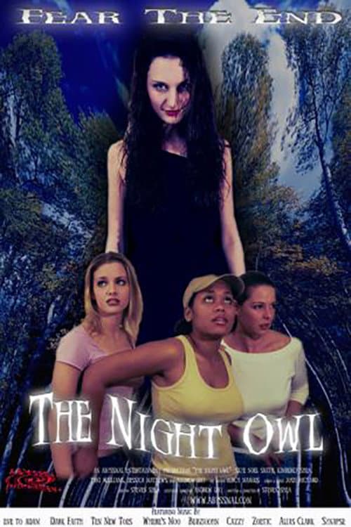 Постер: The Night Owl