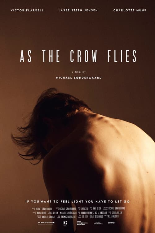 Постер: Fugleflugt