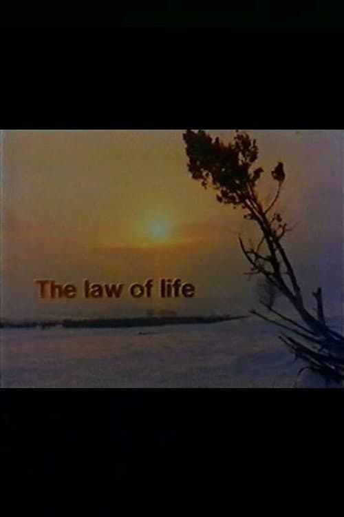 Постер: The Law of Life