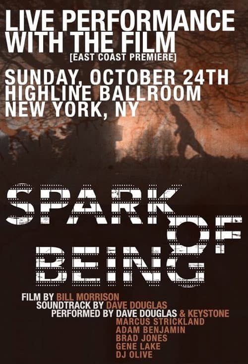 Постер: Spark of Being