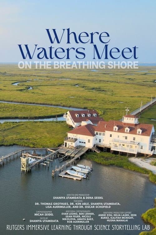 Постер: Where the Waters Meet on the Breathing Shore
