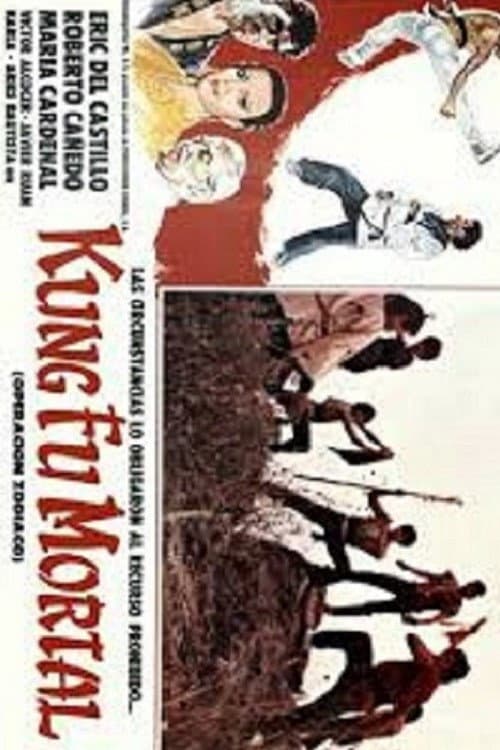 Постер: Kung fu mortal: Operación zodiaco