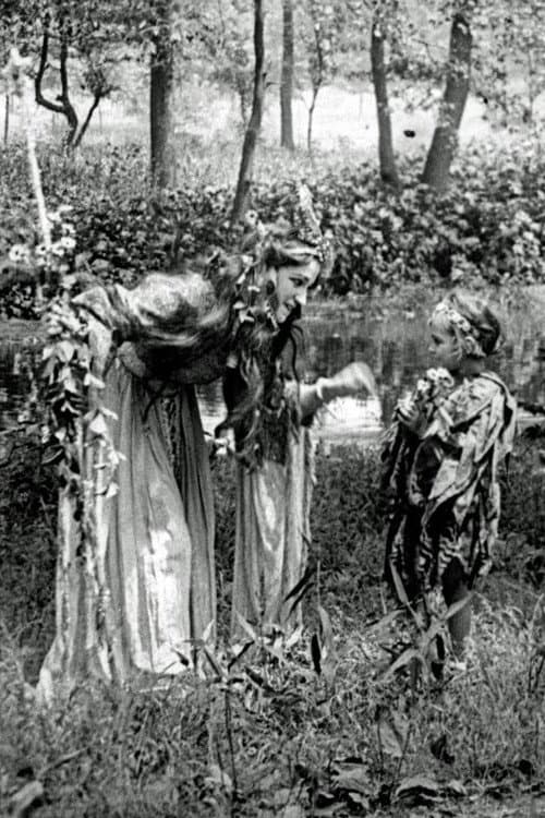 Постер: A Midsummer Night's Dream