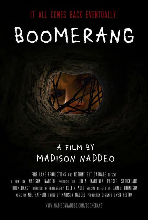 Постер: Boomerang