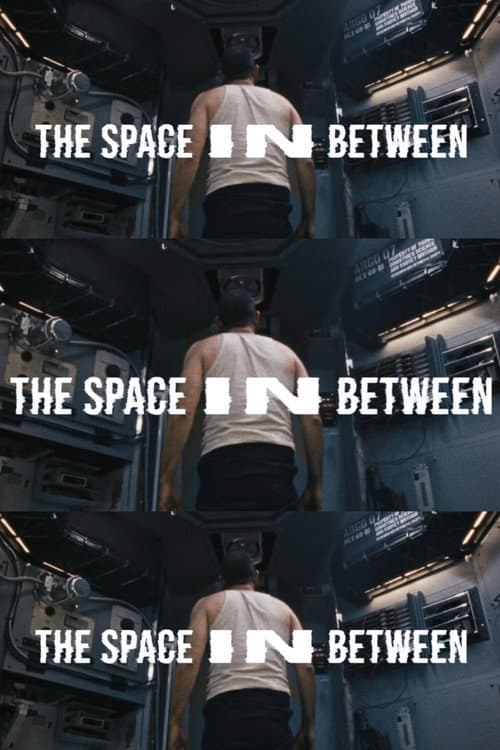 Постер: The Space In Between