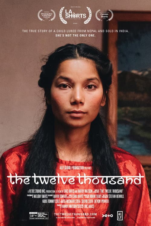 Постер: The Twelve Thousand