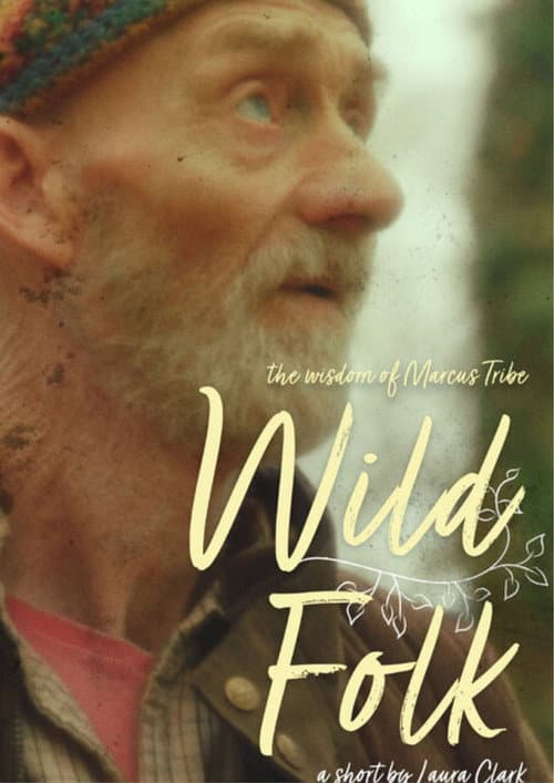 Постер: Wild Folk