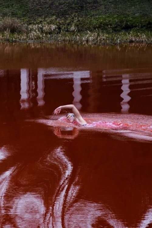 Постер: Swimming Through