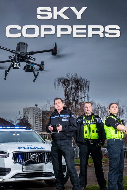 Постер: Sky Coppers