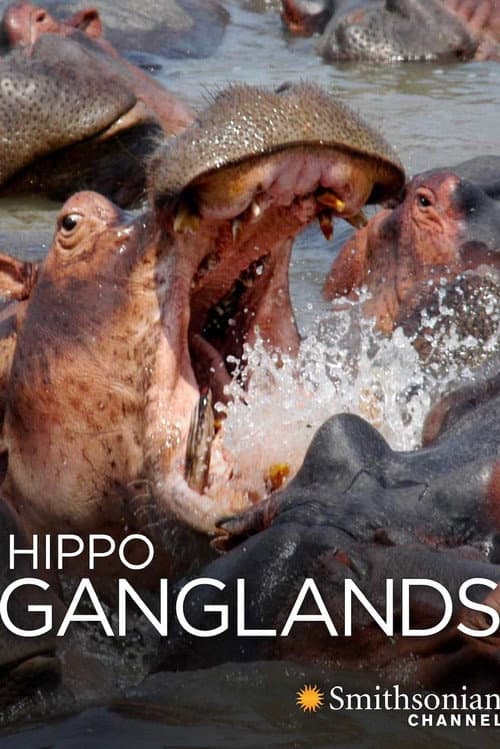 Постер: Hippo Ganglands