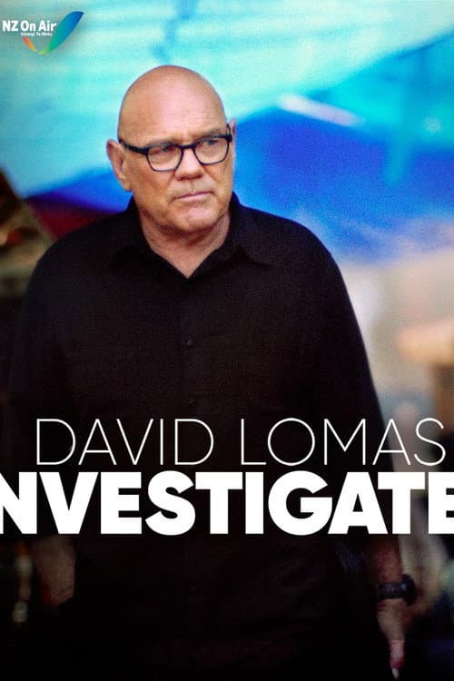 Постер: David Lomas Investigates