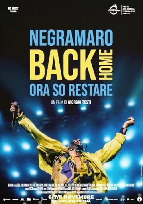 Постер: Negramaro Back Home - Ora so restare