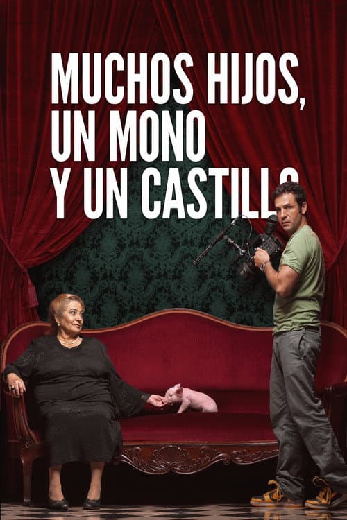 Постер: Muchos hijos, un mono y un castillo