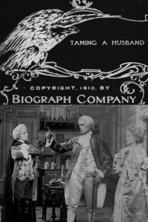 Постер: Taming a Husband