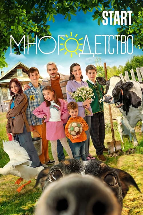 Постер: Многодетство