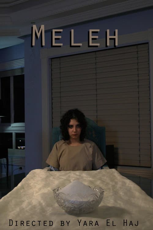 Постер: Meleh