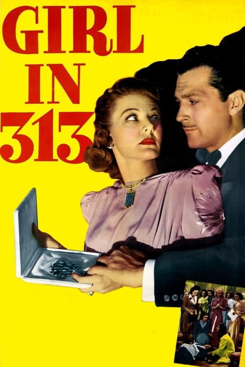 Постер: Girl in 313