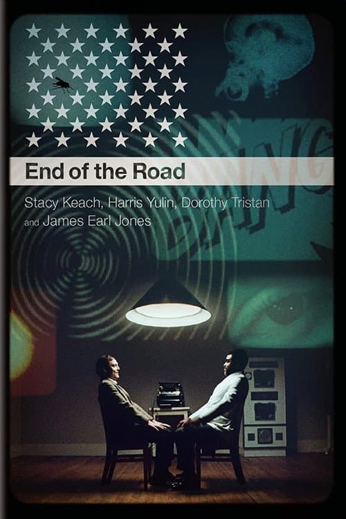 Постер: An Amazing Time: A Conversation About End of the Road