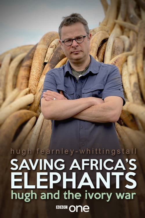 Постер: Saving Africa's Elephants: Hugh and the Ivory War