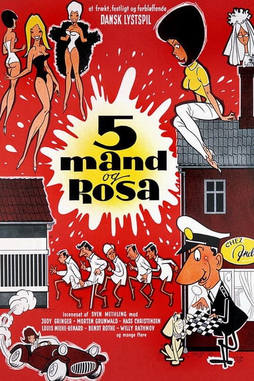 Постер: 5 mand og Rosa