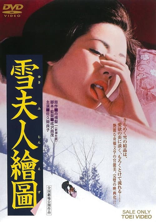 Постер: 雪夫人繪圖